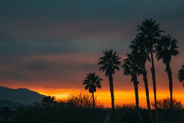 palm springs at night