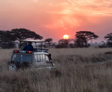 determining the cost of an african safari