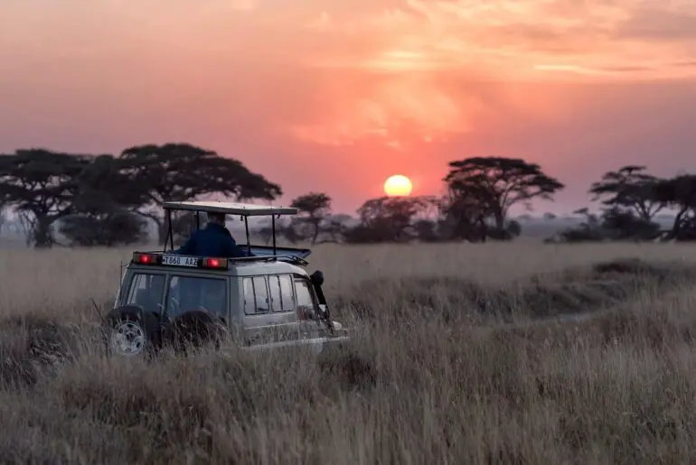determining the cost of an african safari