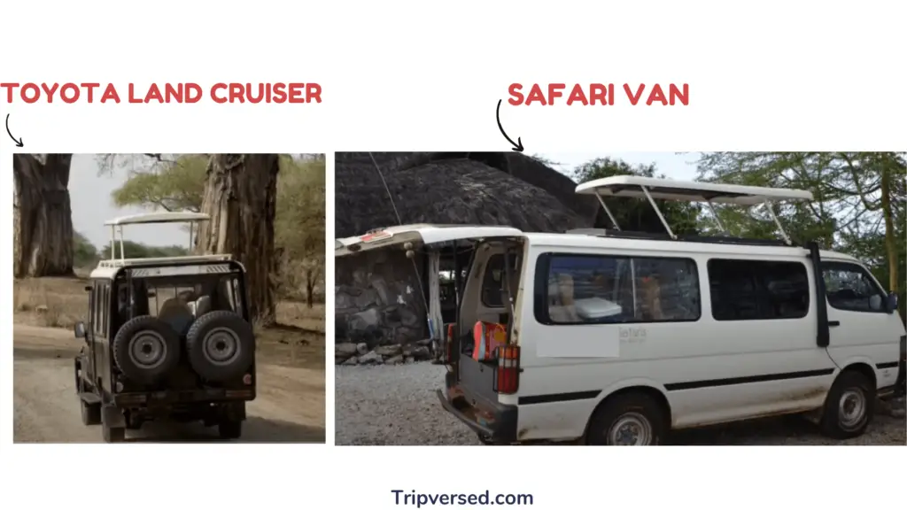 Type of vehicle for safari