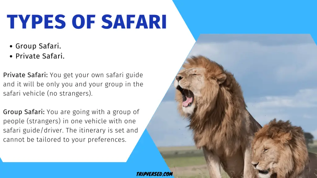 Types of safari