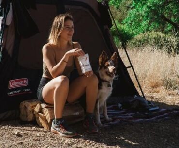 Dog Camping Accessories